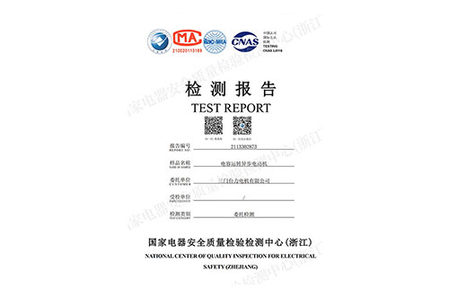 電容運(yùn)轉(zhuǎn)異步電動(dòng)機(jī)檢測報(bào)告