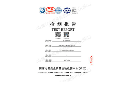 齒輪減速三相異步電動(dòng)機(jī)檢測報(bào)告